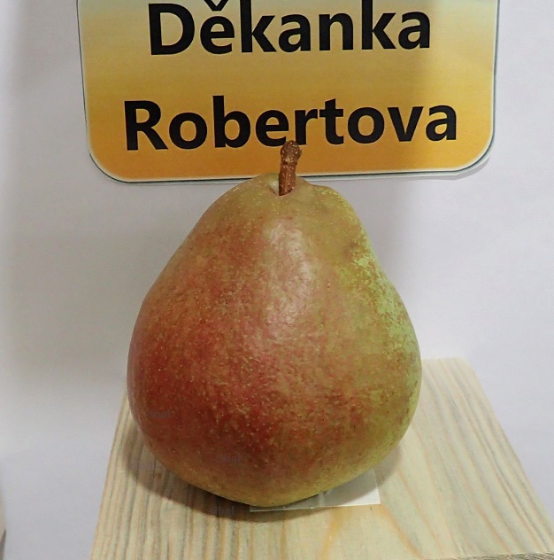 hrušeň Děkanka Robertova